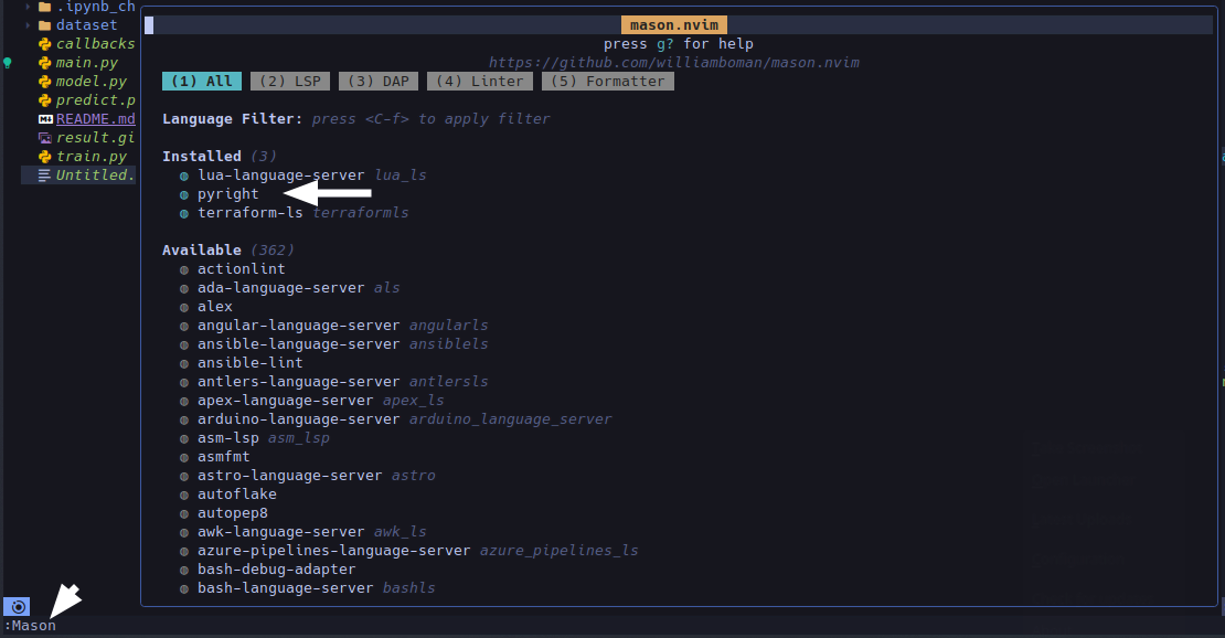 From NeoVim to LunarVim